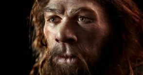 L'uomo di Neandertal non era poi così diverso da noi